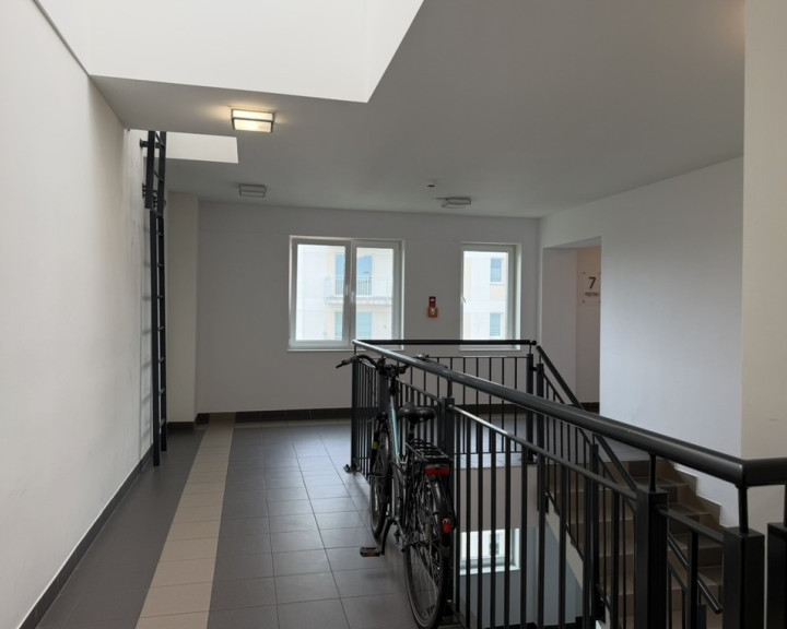 Mieszkanie Wynajem  Warszewo Panoramiczna